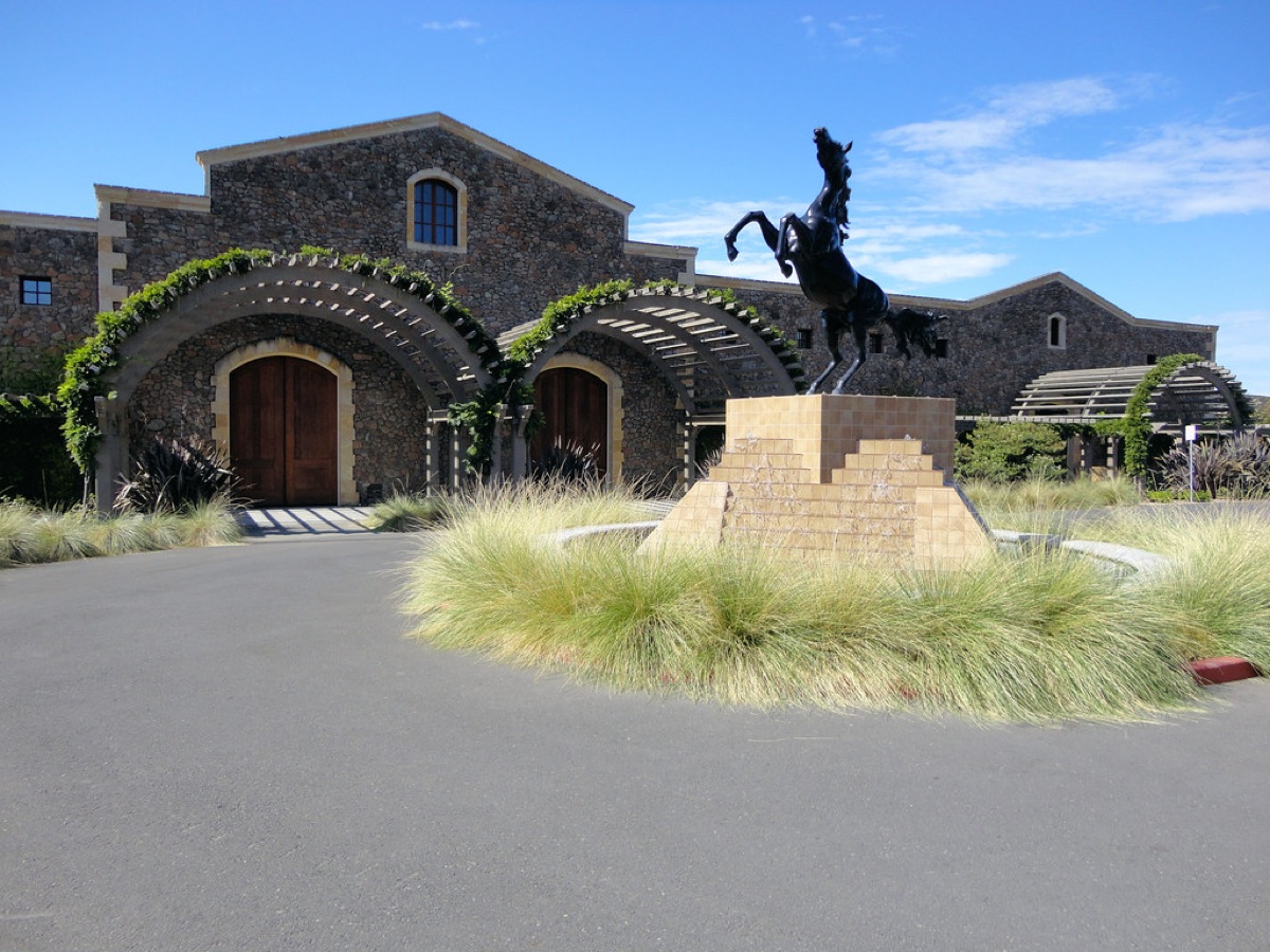 Paesaggio dei vigneti della Napa Valley