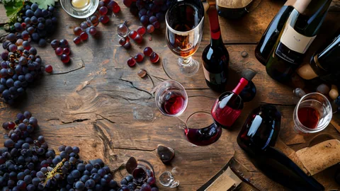 Französische Weine: 3 Top-Regionen für Ihren Gaumen