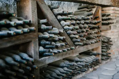 Maduración vino calidad: cómo afecta el entorno al preservar vino