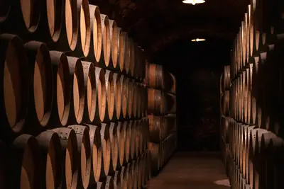 Temperatura conservazione vino: come gestire l'ottimale cantina