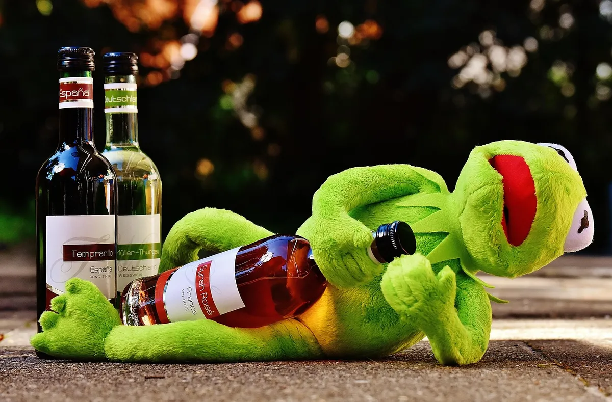 kermit, frog, wine, drink, alcohol, nature, drunk, relax, to sit, figure, fun, frogs, animal, plush, stuffed animal, france, spain, germany, wine bottle