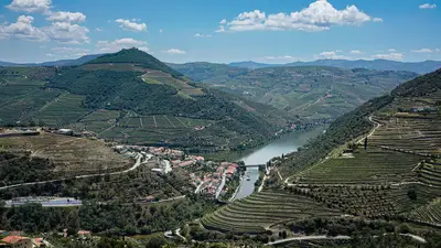 Come le varietà locali definiscono un territorio?