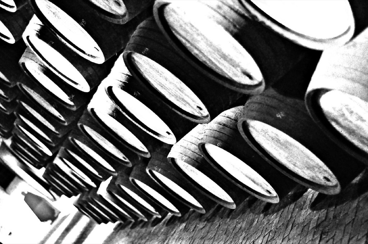 Wine cellar with oak barrels