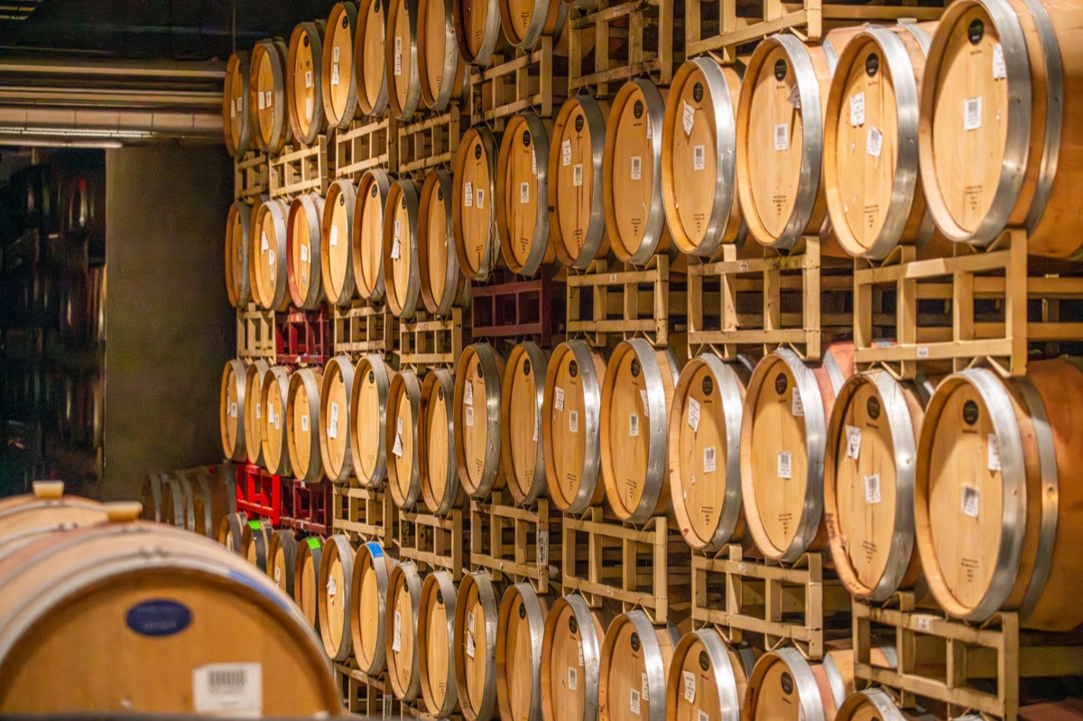 Jackson Family Wines wine cellar with barrels and bottles