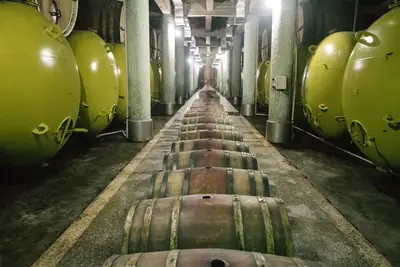 Guardar vino correctamente: consejos para preservar su integridad