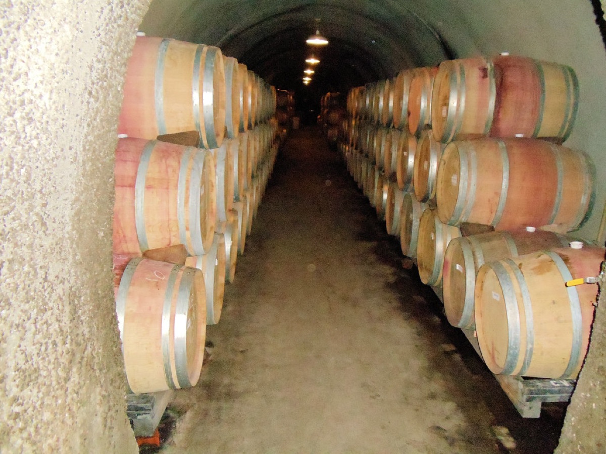 magazzino barili vino
