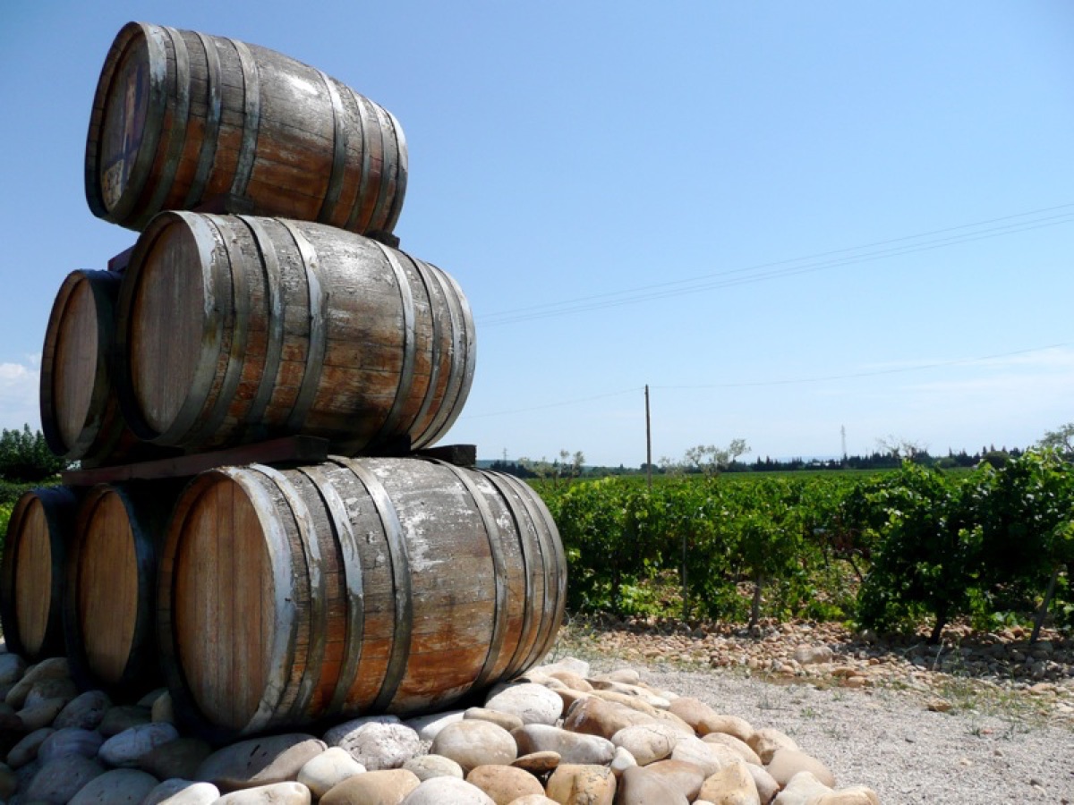 barrel de vinho empilhado em uma vinícola americana