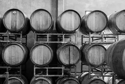 Come si è evoluta la produzione di vino nel tempo?