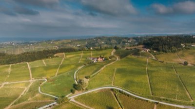 De l'Oregon à la Californie : Un dialogue de microclimats en vin