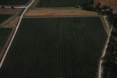 Costa Oeste dos EUA: O Terroir que Define a Jackson Family Wines