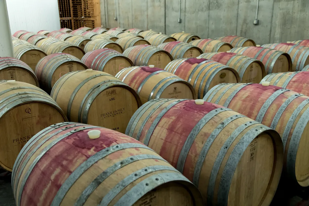 Neatly arranged wooden barrels aging wine inside a winery cellar.