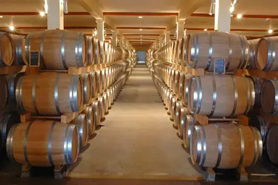 Conservare il vino: come conservare il vino con tappo in sughero