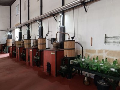 Guía de diferenciación de marca para bodegas en el sector global