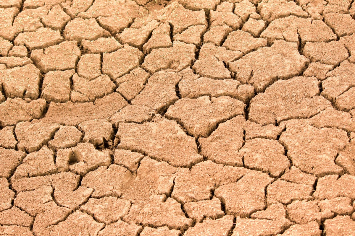 Drought: Why 47% intensity rise changes global water cycles