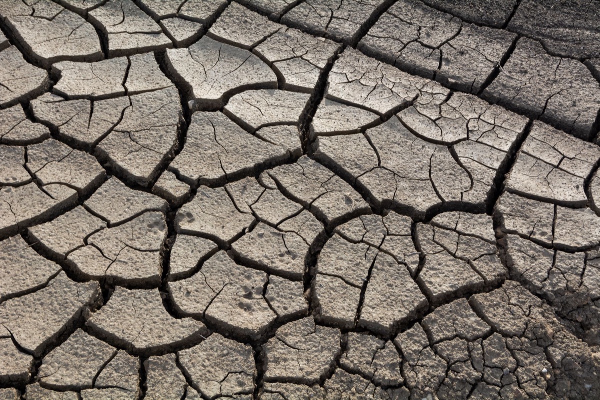 Drought: Why 47% intensity rise changes global water cycles