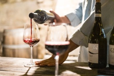 Vino: Tips para el consumidor ante la transformación climática
