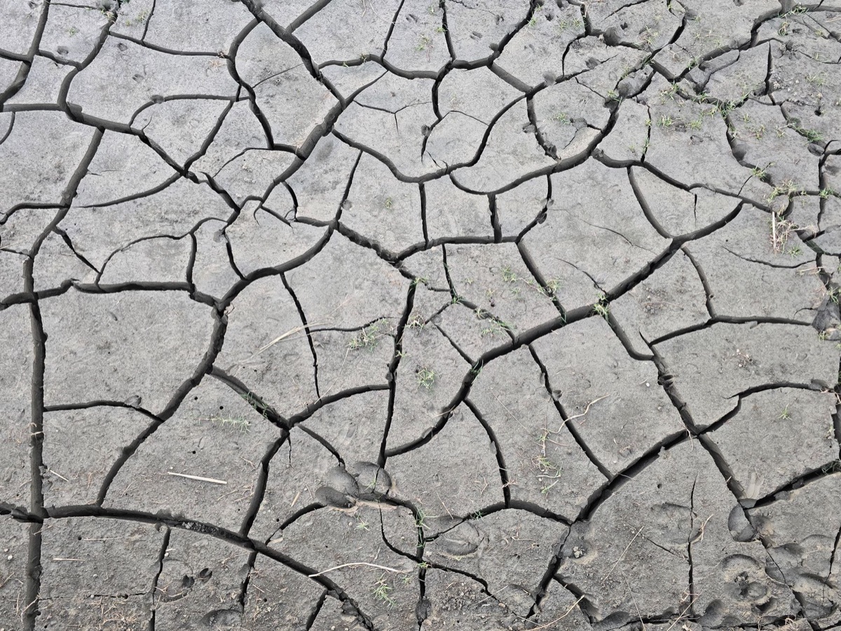 Sécheresse : comment gérer l'eau face aux changements climatiques