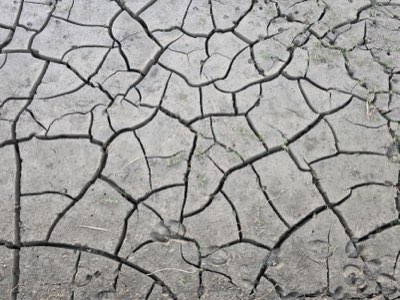 Sécheresse : comment gérer l'eau face aux changements climatiques