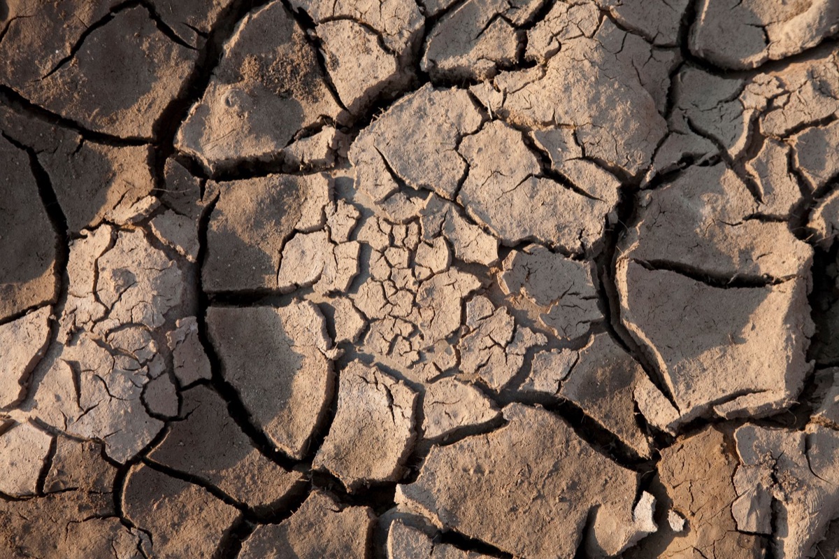 Sécheresse : comment gérer l'eau face aux changements climat