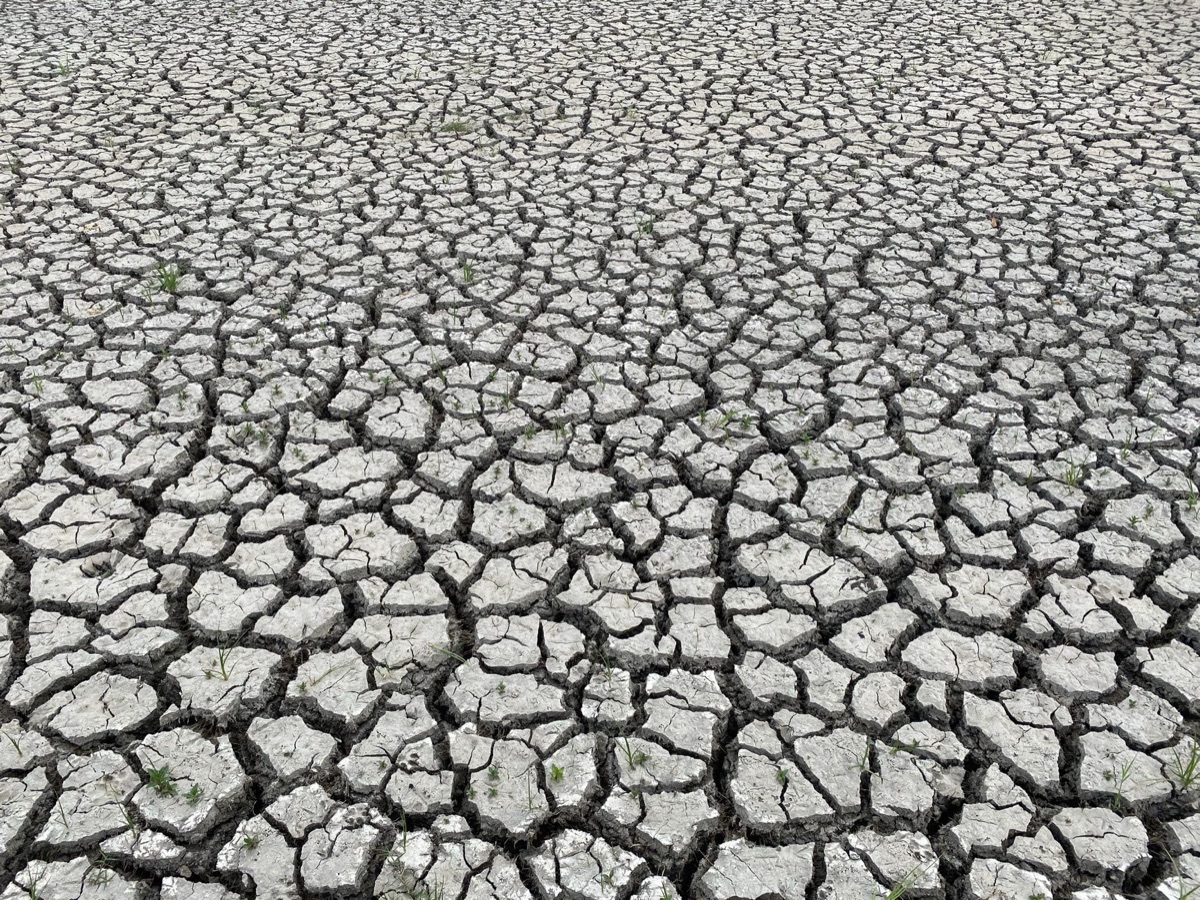Droogte: Hoe droogte de watervoorziening en hygiëne bedreigt