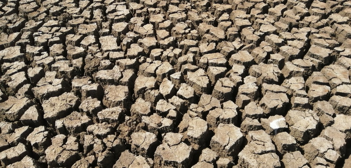 Droogte: Hoe droogte de watervoorziening en hygiëne bedreigt