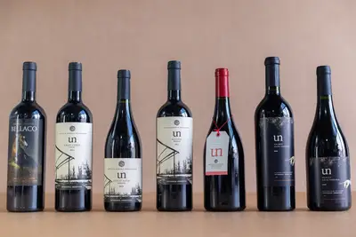 Vinho: Guia completo sobre a união entre tradição e inovação 1