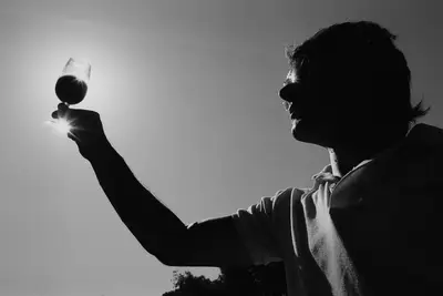 Vin de qualité: Guide pour choisir et conserver sa bouteille 17