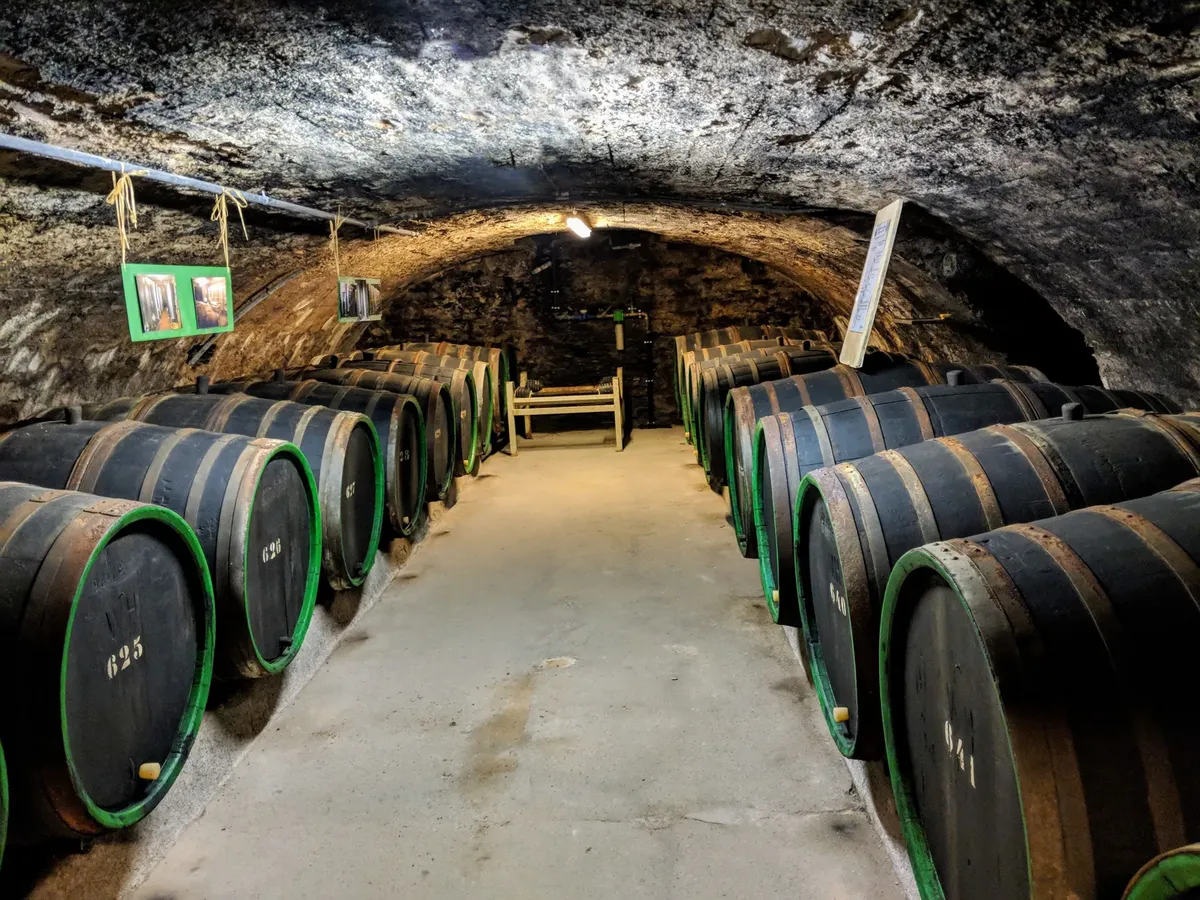 Explore an atmospheric wine cellar with oak barrels, set in the historical town of Cochem, Germany.